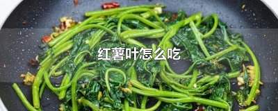 ​红薯叶怎么吃