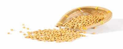 ​纳豆是黄豆吗