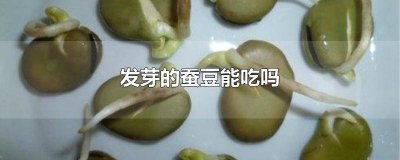 ​发芽的蚕豆还能吃吗图片 发芽的蚕豆可以吃吗?