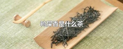 ​鸭屎香是什么茶