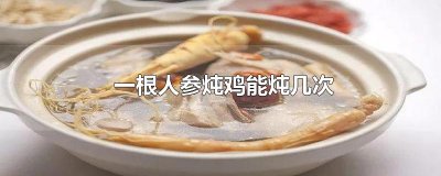 ​一根人参炖鸡能炖几次
