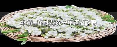 ​冰箱里的槐花冻一年还能吃吗