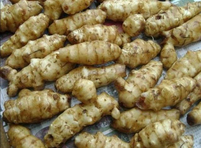 洋姜要怎么吃（我知道的洋姜的几种吃法）(4)