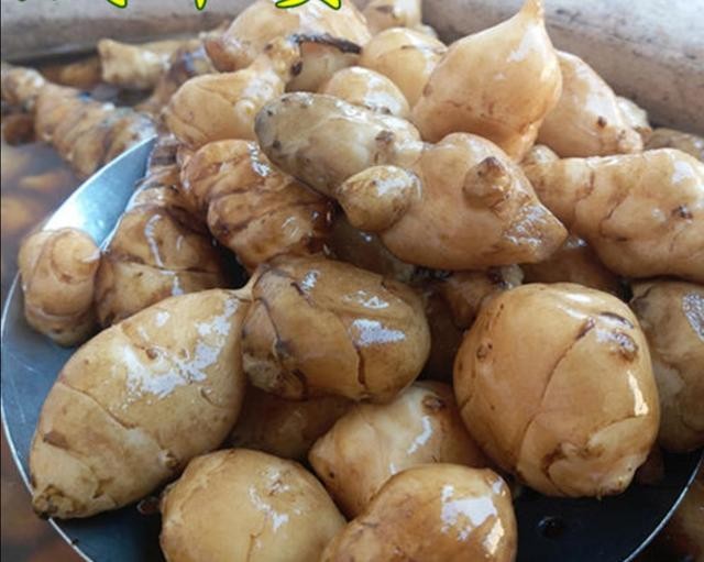 洋姜要怎么吃（我知道的洋姜的几种吃法）(3)