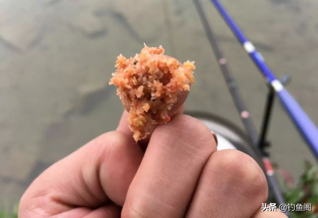 拉饵太散不成团（鱼饵怎么调配才不容易散）(图1)