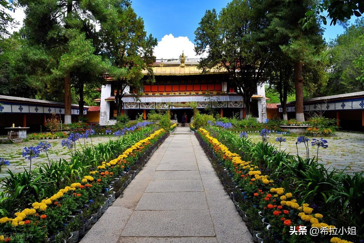 拉萨旅游攻略必去10大景点(拉萨有哪些景点必须去)