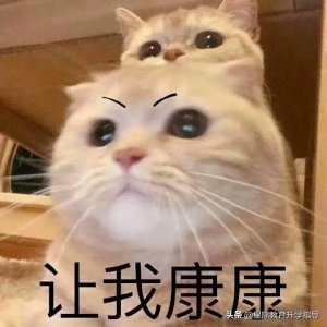 ​宝安实验学校丨地理位置优越，政府高度重视，中考成绩连年攀升