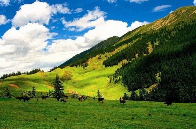 ​贺兰山——银川平原的守护神