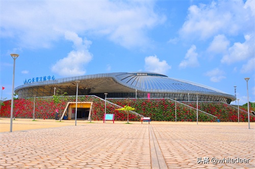 东莞模具之都 --- 长安镇