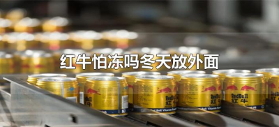 红牛怕冻吗冬天放外面(红牛饮料冬天会冻吗)