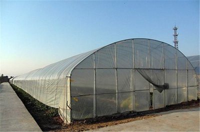 蔬菜温室大棚造价,你了解多少?