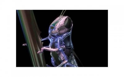 ​七夕情诗，感动你的不仅仅是文字