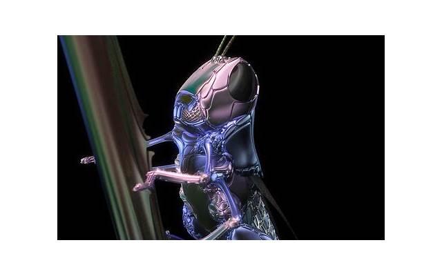 七夕情诗，感动你的不仅仅是文字