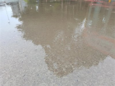 ​今年的天气怎么了？