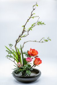 ​一个有城府的人，会有这四个特征