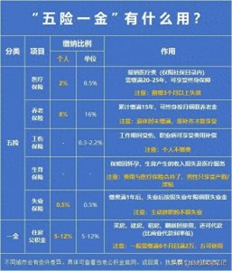 ​打工人的保障：五险一金的基础知识