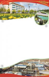 在奋进中书写精彩答卷——河南能源化工集团新疆公司跨越发展纪实