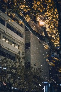 ​-7℃，上海终于下雪了