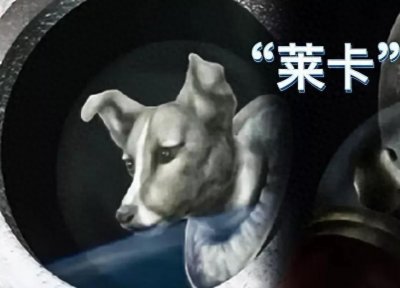 太空狗莱卡,第一个进入太空的地球生命