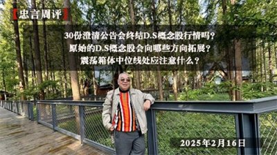 30份澄清公告会终结D.S概念股行情吗?D.S概念会向哪些方向拓展?