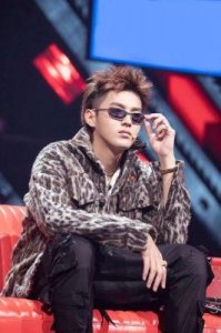 吴亦凡事件背后的强大背景揭秘:从约炮风波到刷榜事件