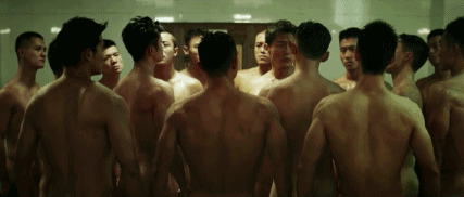 叶问4预计什么时候上映（12月档好莱坞大片的夹缝中）(32)