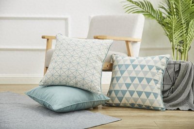 ​以案释法：期待可能性的法律分析