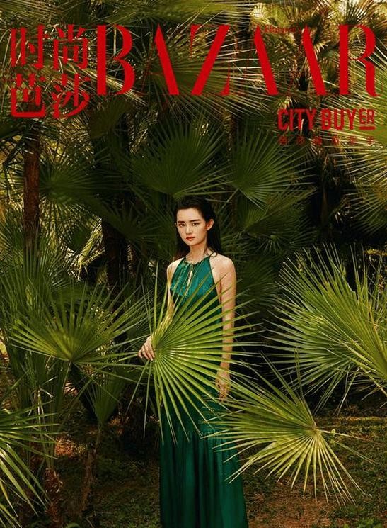 陈丹婷整容前旧照曝光（陈丹婷翻版杨幂快分不清谁）