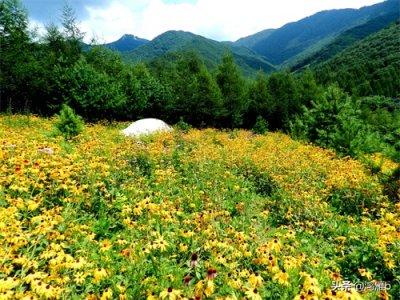 ​“没事走两步”——再游本溪老边沟怡情花海