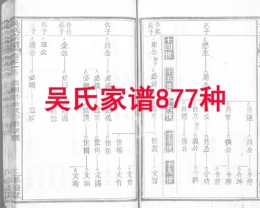 吴氏家谱族谱877种