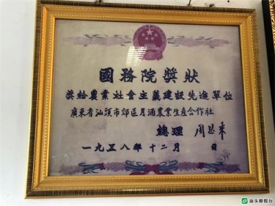 ​你知道吗？汕头“网红”狮头鹅曾荣获“国务院奖状”！