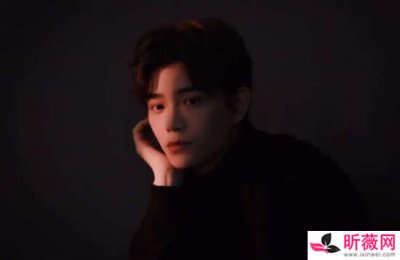 ​丁禹兮个人资料简介，丁禹兮是怎么火起来的