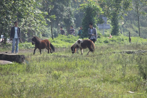 重庆洋人街老照片 再也回不去的时光记忆