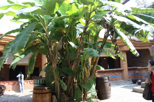 重庆洋人街老照片 再也回不去的时光记忆