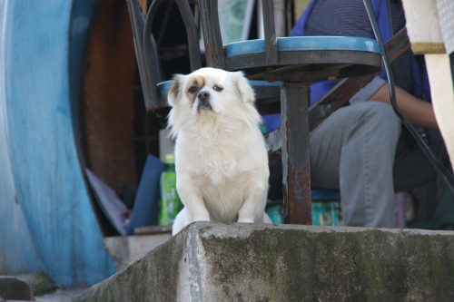 重庆洋人街老照片 再也回不去的时光记忆