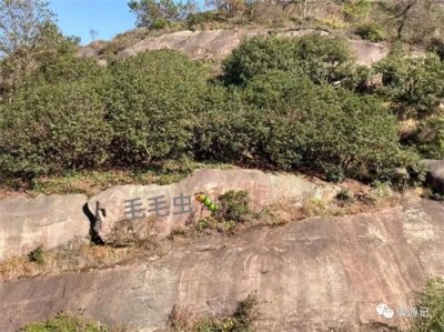 百爬不腻之浙江温州大罗山