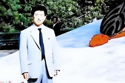 小隐隐于山林:北大前教师王青松夫妇隐居深山11年花光积蓄终出山