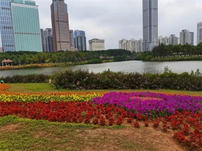 说说含“自”字的成语大世界