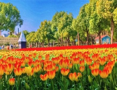 大宁公园美成魔都顶流,但门口提示牌30个“禁止” 看呆上海人:是公园还是禁地