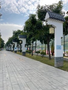 ​带你逛逛深圳的狮子山公园