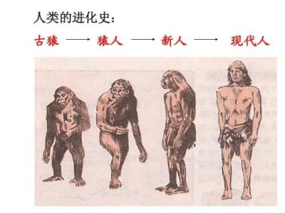 “像一棵海草”歌词里暗藏人类起源