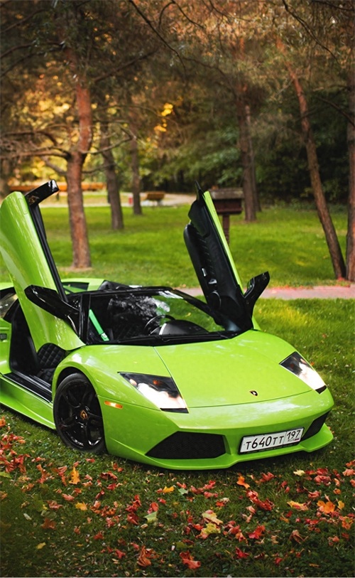 兰博基尼蝙蝠高清壁纸，只有跑车才能驾驭这个颜色