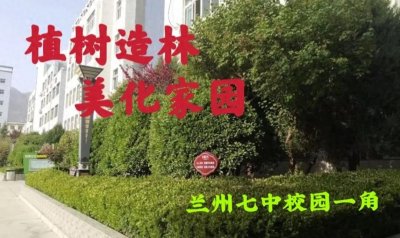 史宏杰: 现代节日之中国植树节诗两首