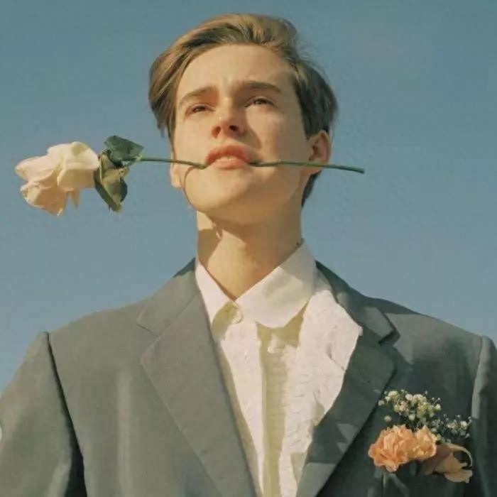 宝藏男孩的欧美系头像2.0（荷兰弟）