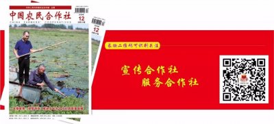 ​2019合作社理事长联谊节目回放（3）歌舞《烟花三月》