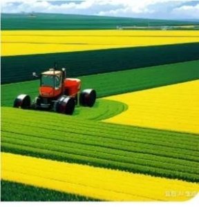 2024春耕图鉴,辛勤背后的收获