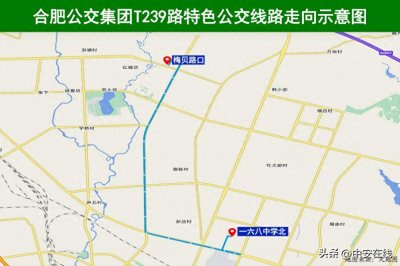 提醒!合肥公交多条线路有调整