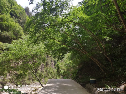 晋城凤凰欢乐谷(苗胜文原创图集)