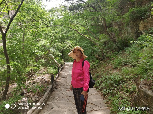 晋城凤凰欢乐谷(苗胜文原创图集)