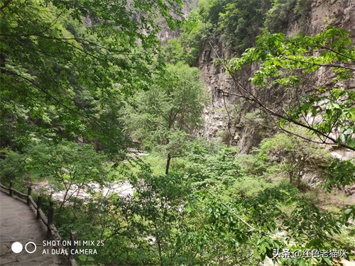 晋城凤凰欢乐谷(苗胜文原创图集)